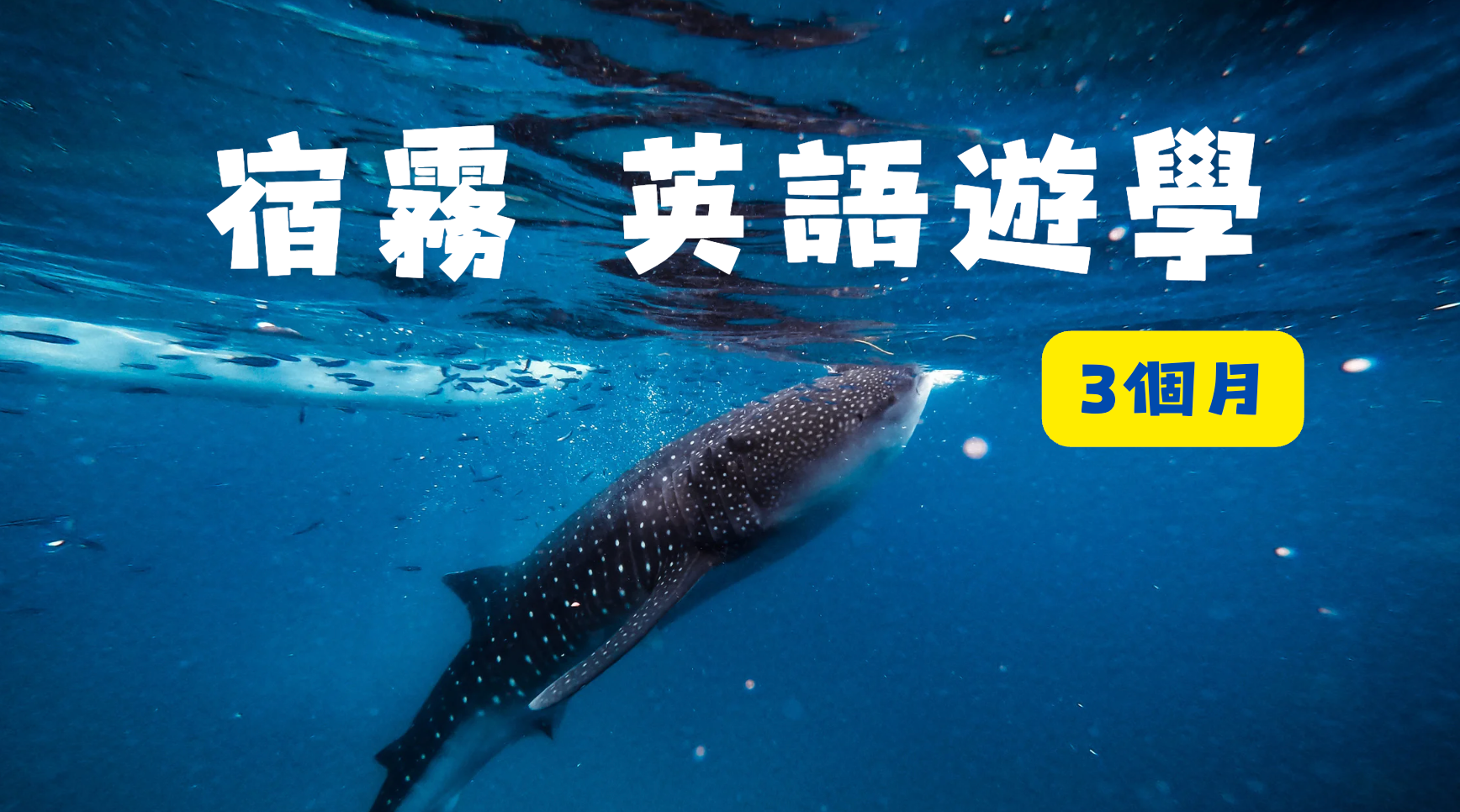 風扇的兩大人生夢想圖,上半部為泰國清邁金頂寺廟配文「清邁數位遊牧1個月」,下半部為宿霧海底鯨鯊美景配文「宿霧英語遊學3個月」,呈現靠健康顧問副業創造財務自由後,想完成的具體夢想清單,呼應文章從黑白人生到彩色夢想的主題。