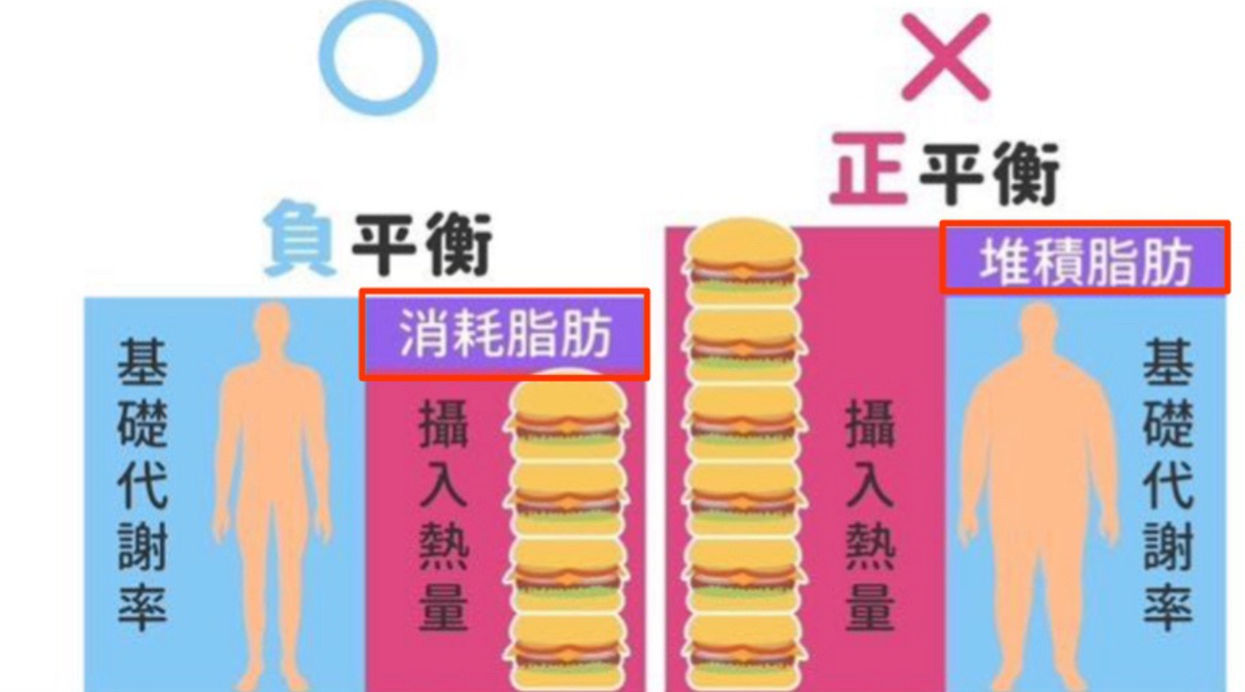 告別減肥藥的掙扎:CNFCD 全人健康計畫,開啟你的健康減重新思維 - 創造「能量負平衡」: CNFCD協助您透過精準的熱量管理,讓身體消耗的能量高於攝取的能量 。這會促使身體動用儲存在脂肪細胞中的「多餘能量」 。