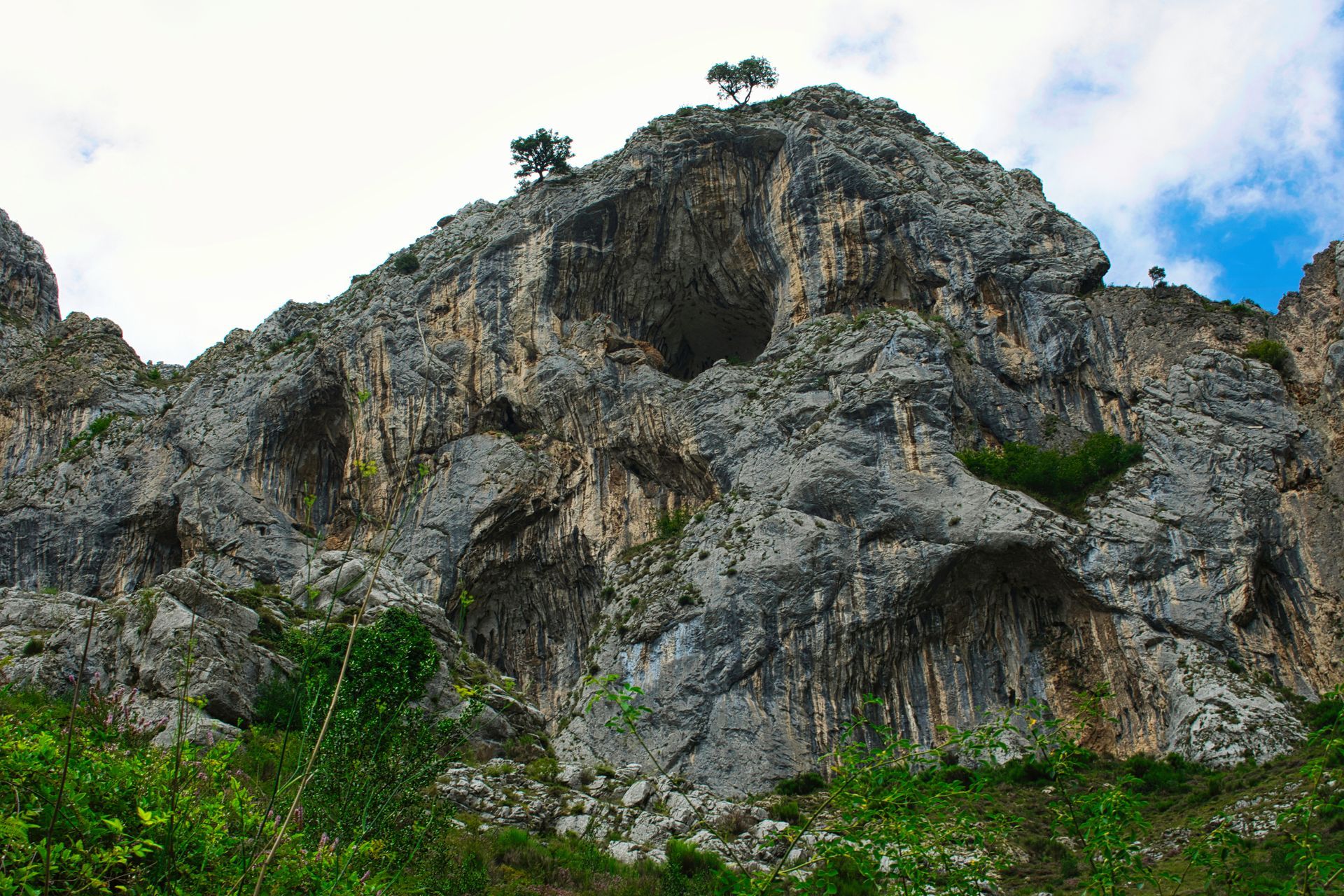 A large rock formation with a tree on top of it.
