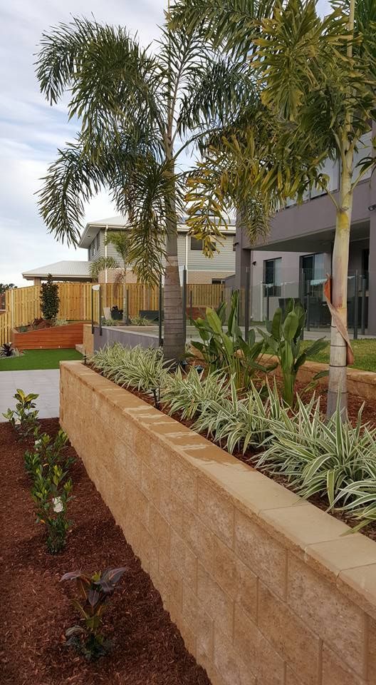 Plants and Trees In Front Of The House — Red Dog Landscaping in Banora Point, NSW
