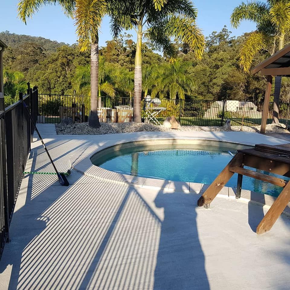 Swimming Pool With Palm Trees in the Background — Red Dog Landscaping in Byron Bay, NSW