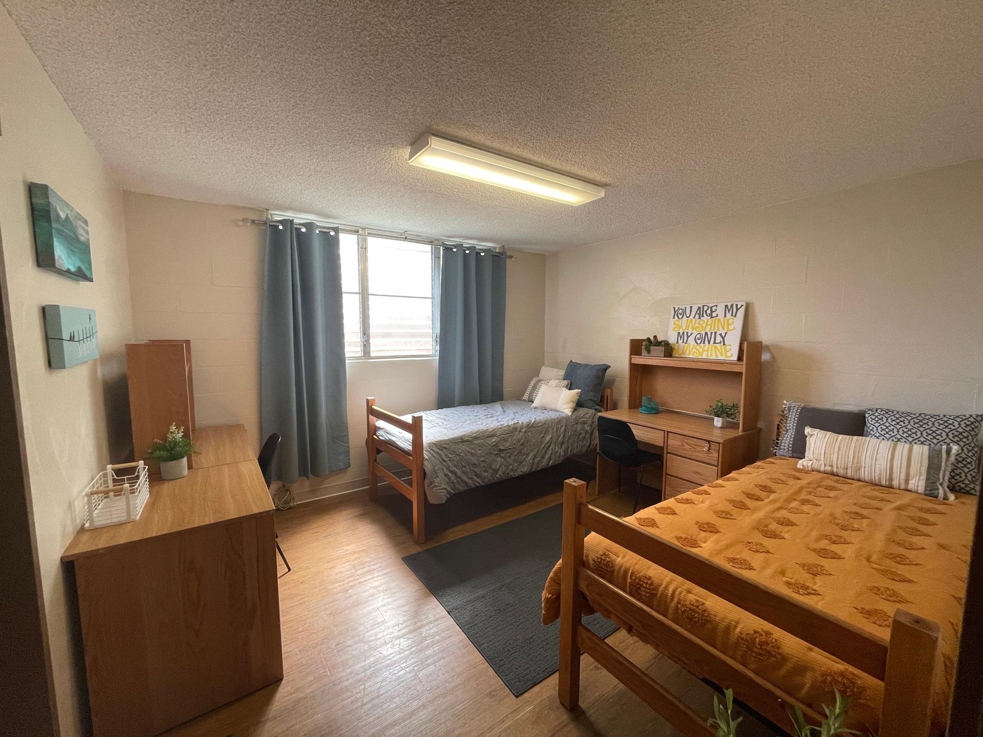 Kalo Terrace - Hawaii Student Suites