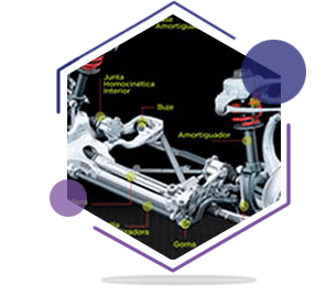 SUSPENSIONES MÁRQUEZ