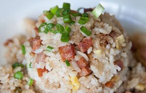 A close up of a plate of rice with meat and green onions.