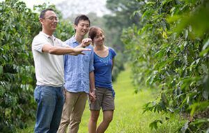 A group of people are standing in a field looking at trees.