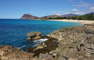 A rocky shoreline with a beach and mountains in the background.
