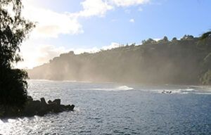 A large body of water surrounded by trees on a sunny day.
