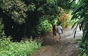A man and a woman are walking down a path in the woods.