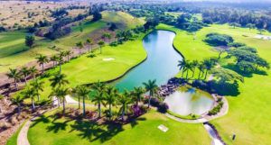 An aerial view of a golf course with a lake and palm trees.