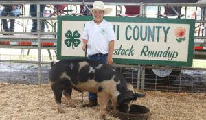 A man is standing next to a pig in front of a sign that says stock roundup.