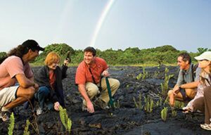 A group of people are looking at a rainbow in the sky.