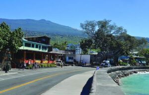 A road leading to a beach with mountains in the background.