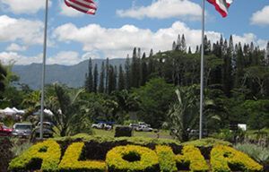 A sign that says aloha is surrounded by trees and flags