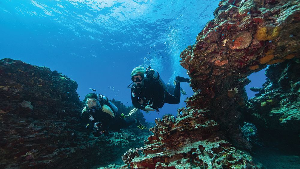 Two scuba divers are swimming in the ocean near a coral reef.