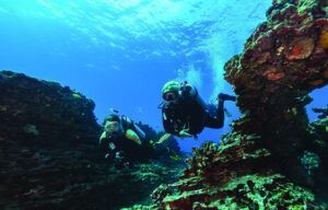 Two scuba divers are swimming in the ocean near a coral reef.