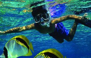 A man is swimming in the ocean with fish.