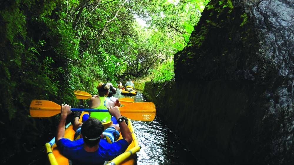 A group of people are rowing kayaks down a river.