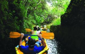 A group of people are rowing kayaks down a river.