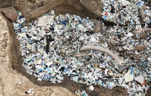 A pile of plastic bottles and bones on the ground.