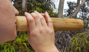 A person is playing a wooden flute in the woods.