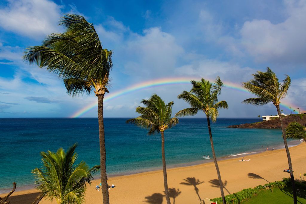 A beach with palm trees and a rainbow in the sky