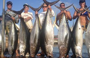 A group of people are standing next to each other holding large fish.