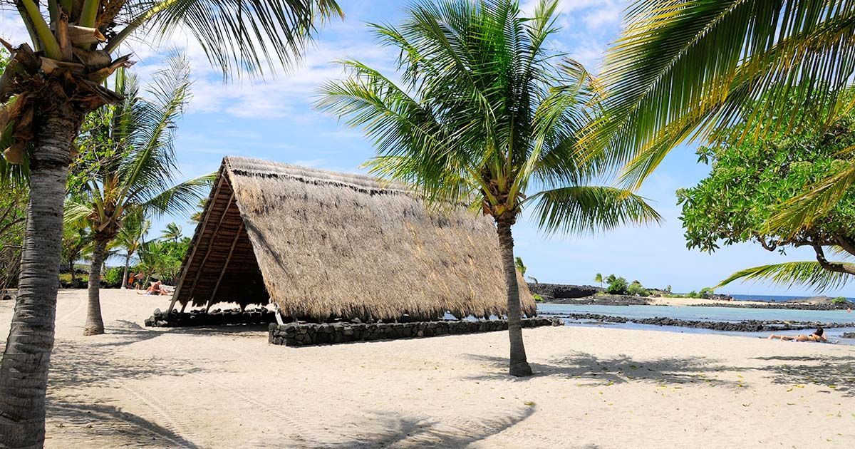 Kaloko-Honokōhau National Historical Park on the Big Island, with calm waters and green sea turtles along the shore.