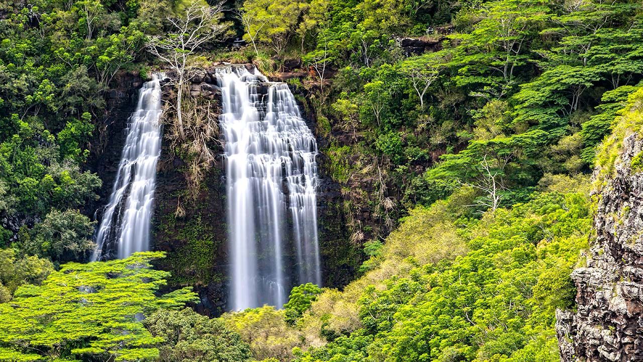 ʻOpaekaʻa Falls in Wailua River State Park, Kauai — a 151-foot waterfall flowing down lush green cliffs, viewed from a roadside lookout with a safe viewing platform.
