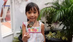 A little girl is holding a butterfly in her hand.