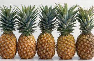 hawaii agriculture