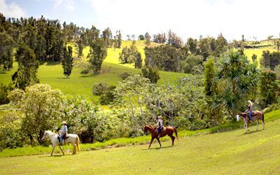 Three people are riding horses in a grassy field.