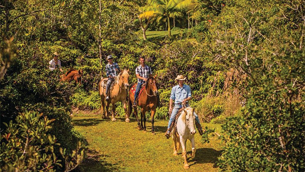 Silver Falls Ranch Trail Ride