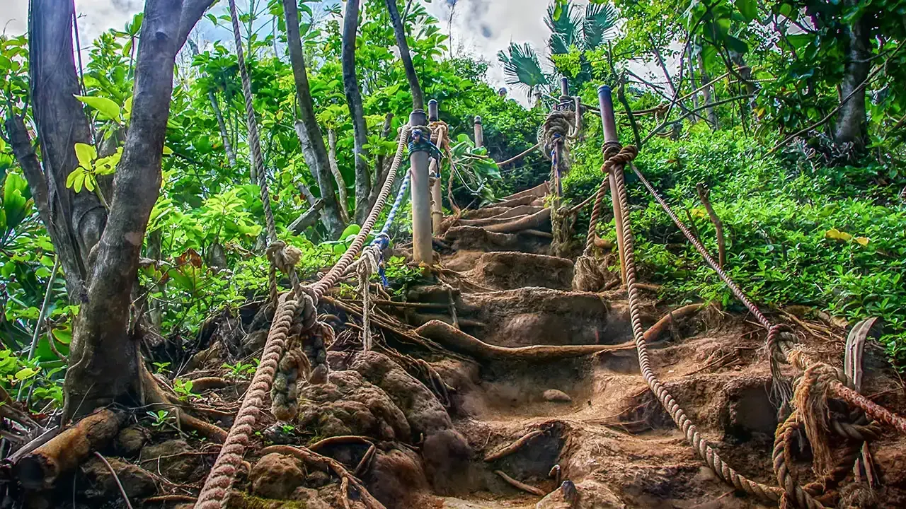 Discover activities and experiences you may enjoy in Princeville, Kauai with This Week Hawaii