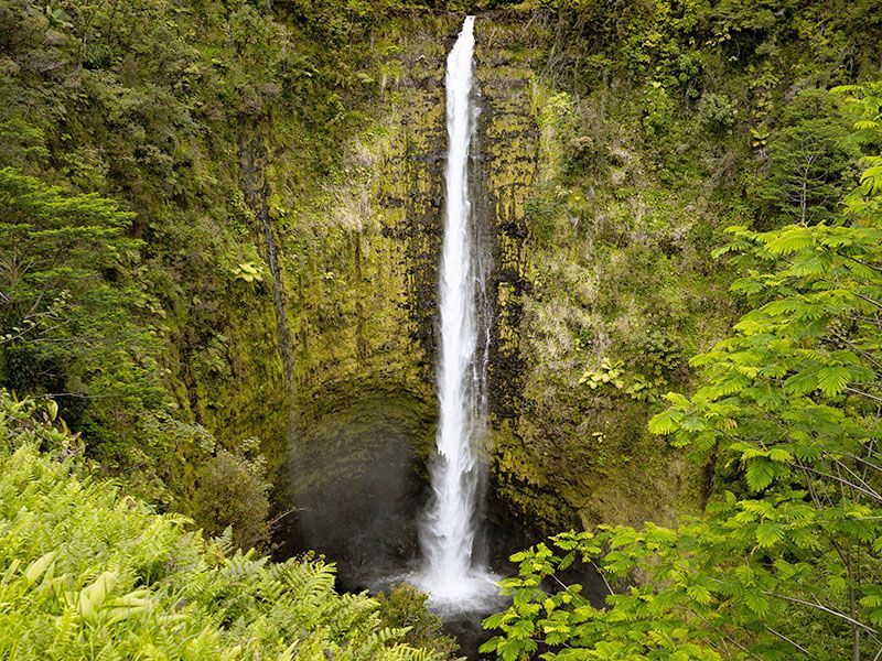 A waterfall in the middle of a forest surrounded by trees.