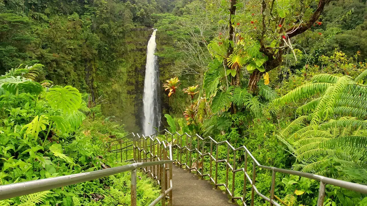 This Week Hawaii's list of best hiking trails with waterfalls.