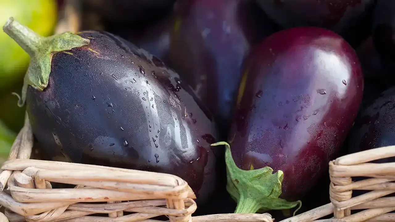 Learn more about Waimea's farmers markets and local events with This Week Hawaii.