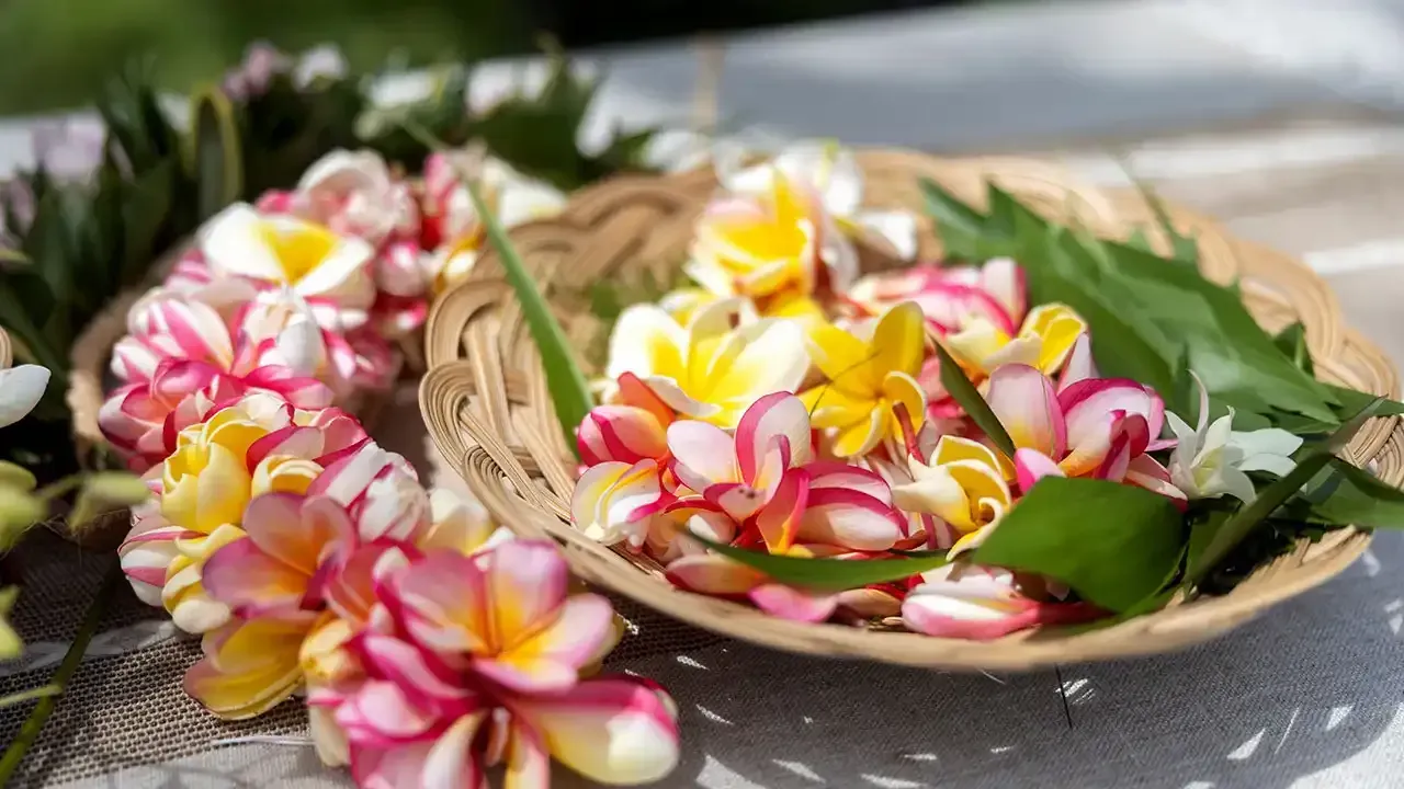 Discover the best Lei making workshops and classes with This Week Hawaii.
