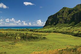 A lush green field with mountains in the background and the ocean in the background.