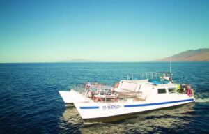 A large white boat is floating on top of a large body of water.
