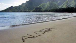 Custom Island Tours