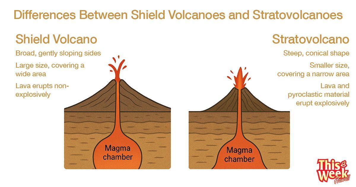What are the differences between Shield Volcanoes and Stratovolcanoes?