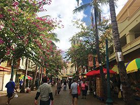 A group of people are walking down a street lined with palm trees.