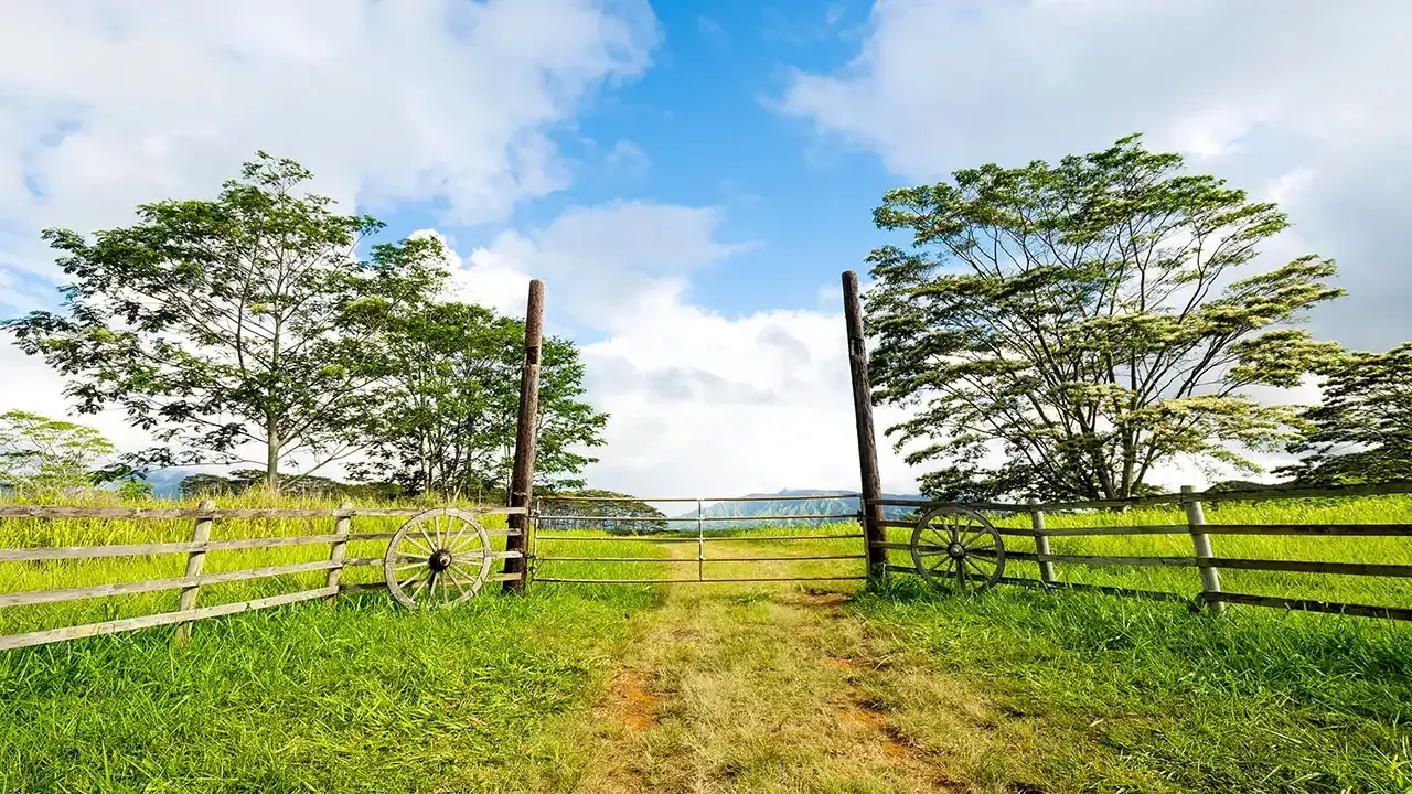 Learn where you can experience authentic ranch life in Waimea, Hawaii with This Week Hawaii.