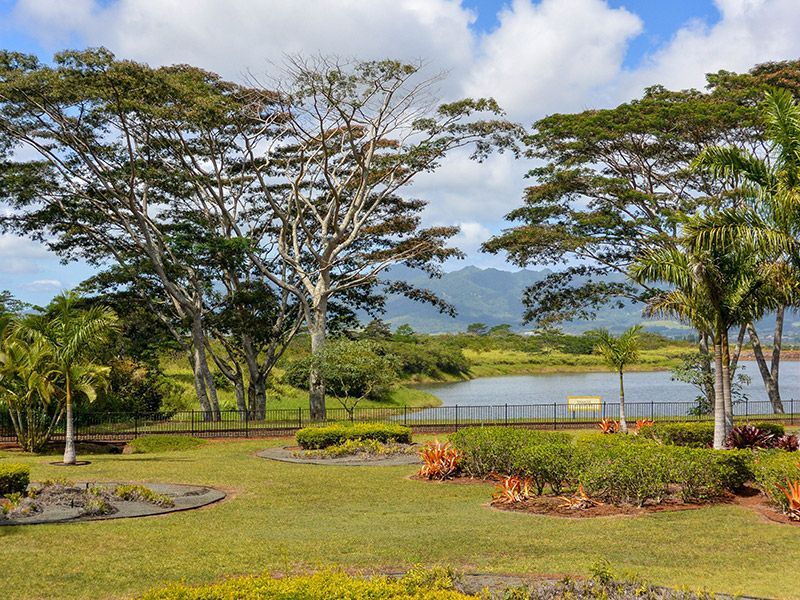 A lush green field with trees and a lake in the background