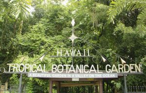 Hawaii tropical botanical garden is a beautiful garden in a valley on the ocean