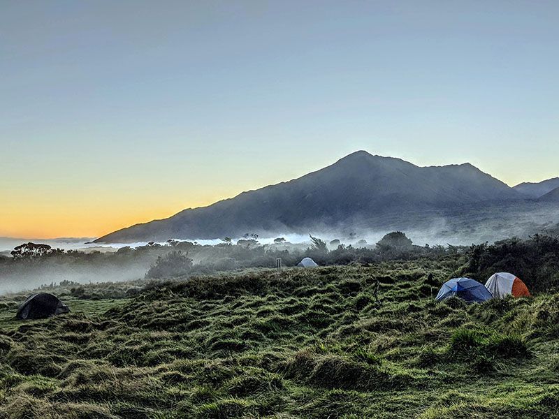 A group of tents are sitting in a grassy field with mountains in the background.