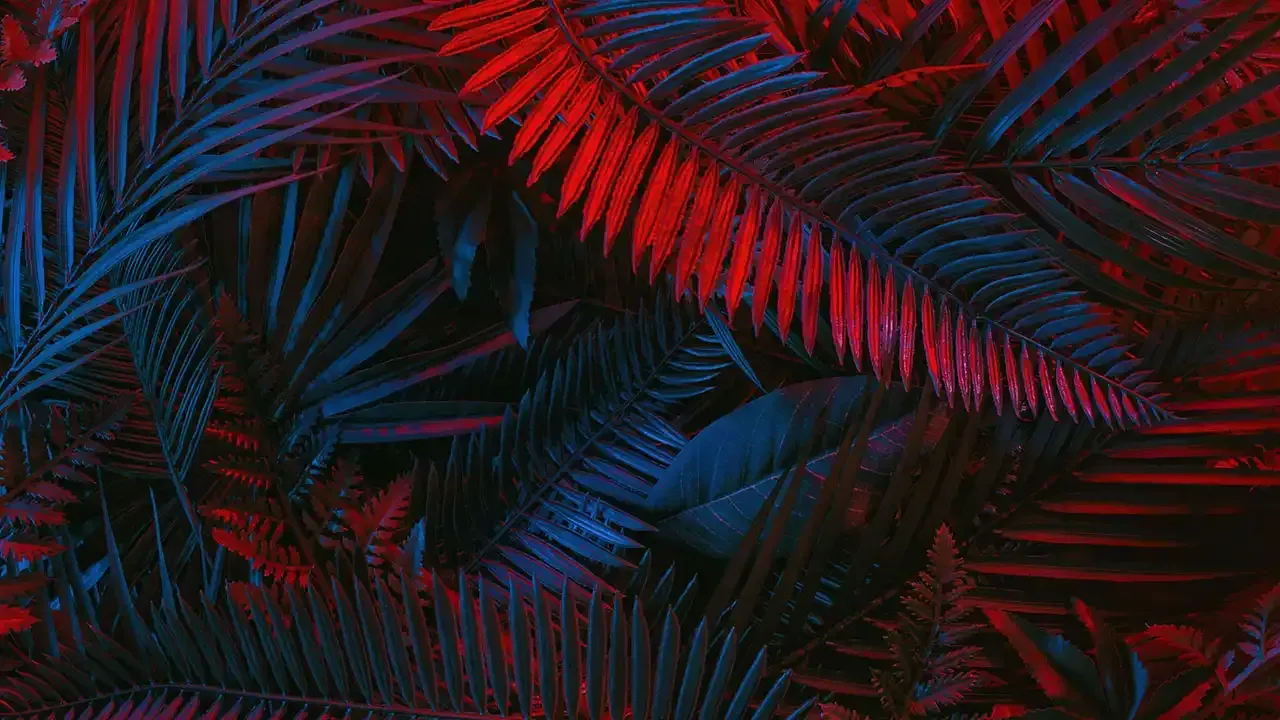 Learn about traditional Hawaiian art styles with This Week Hawaii.
