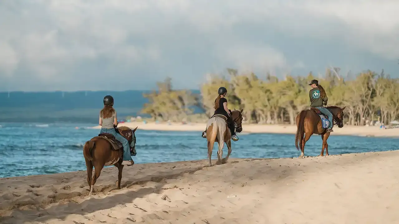 Learn about what makes horseback riding so special when visiting Hawaii with This Week Hawaii.