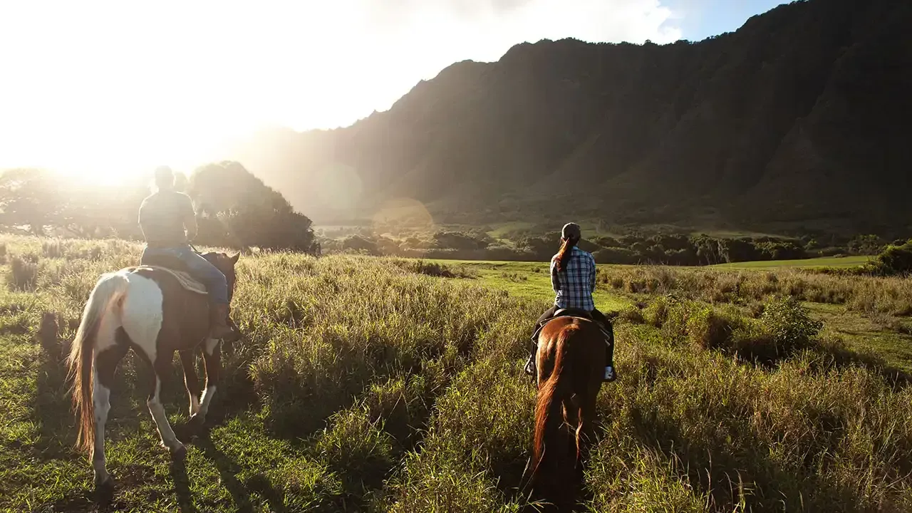 Discover where to go horseback riding in Hawaii with This Week Hawaii.