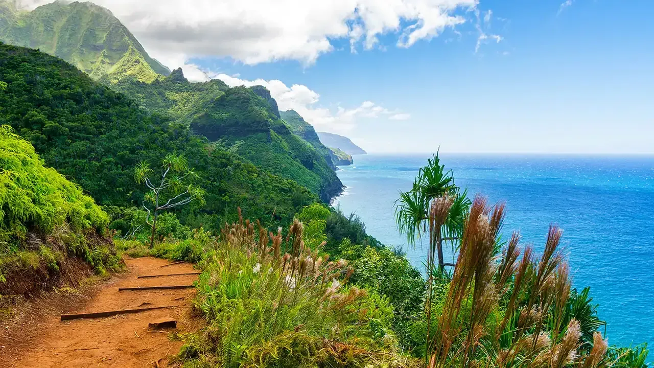 Hiking trails in Hawaii from easy to difficult.